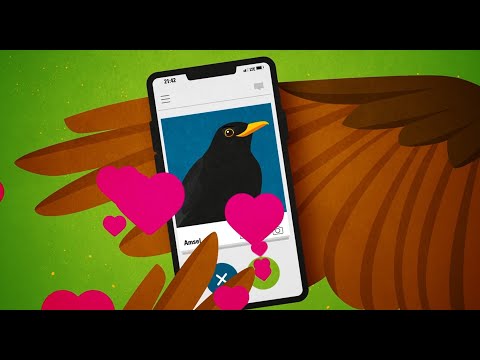 Digiseum: sexuelle Selektion