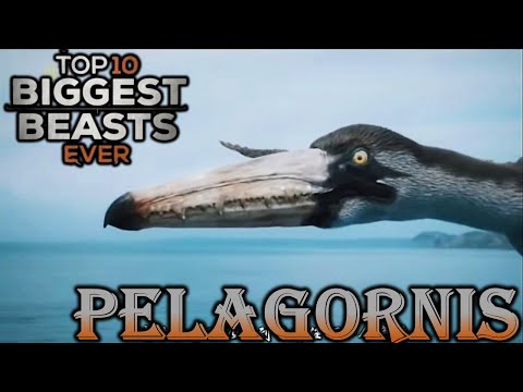 top 10 biggest beasts ever pelagornis screen time