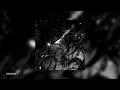 Flare Hensonn Perfect Slowed