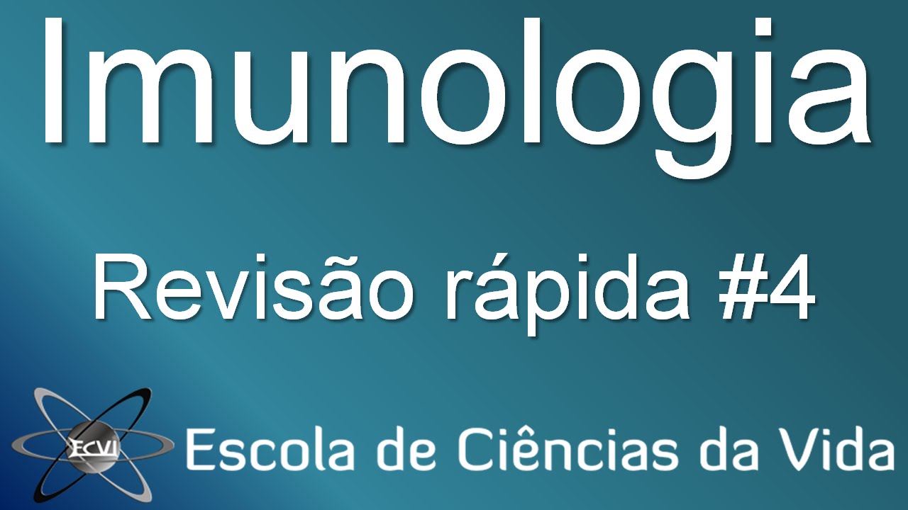 revisão rápida de imunologia #4: ativação dos linfócitos B