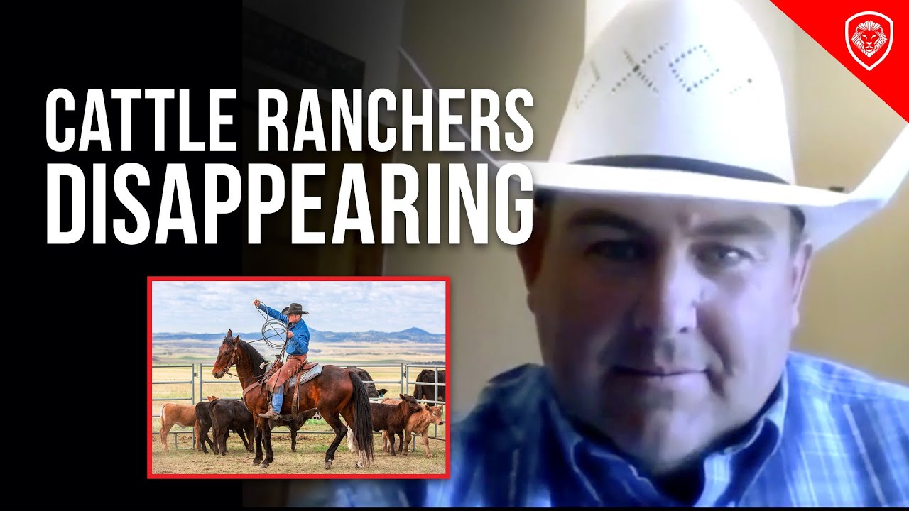 Why did many cattle ranchers go out of business?