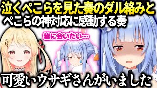 奏ぺこらがどんなダル絡みにも返事してくれて優しさに感動する話【兎田ぺこら/音乃瀬奏/ホロライブ】