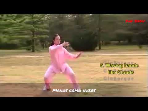 Forma 8 Estandarizada Tai Chi Yang - Slow motion