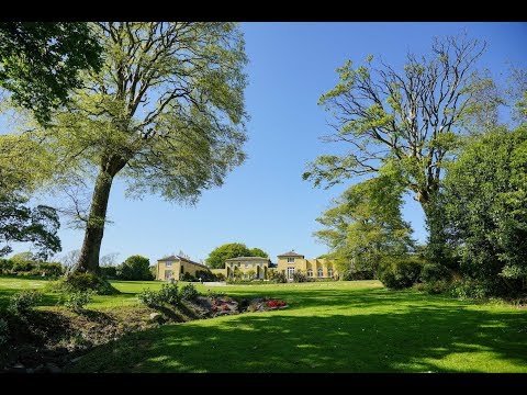 download lagu mp3 mp4 International House Cork, download lagu International House Cork gratis, unduh video klip International House Cork