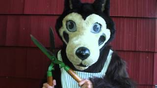 John Andrews &amp; The Yawns - Peace of Mind (Official Video)