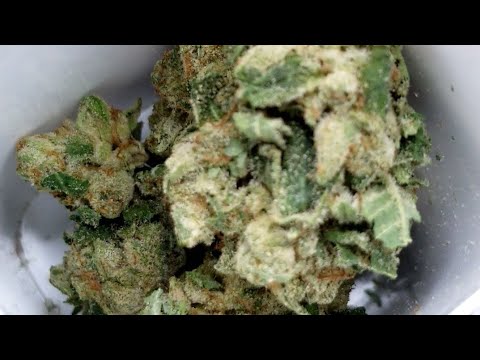 🥮🥮 London Pound Cake!! 🥮🥮 Liberty Health Sciences!