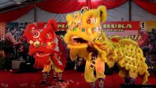 Double Lions Dancing at Perak Menteri Besar CNY 2011 Open House