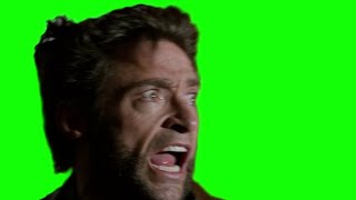 Wolverine "what the hell is that?" green screen