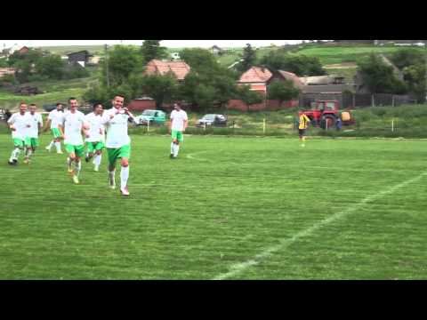 Rezumat: Dalia Sport Daia Romana  - ASC Pianu 2013 1-2