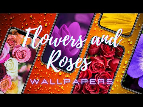 Flowers and roses wallpapers video