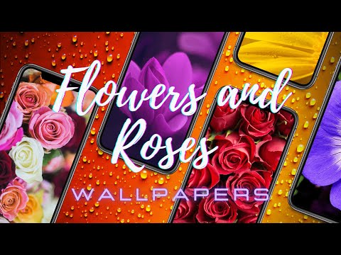 Flowers and roses wallpapers Video
