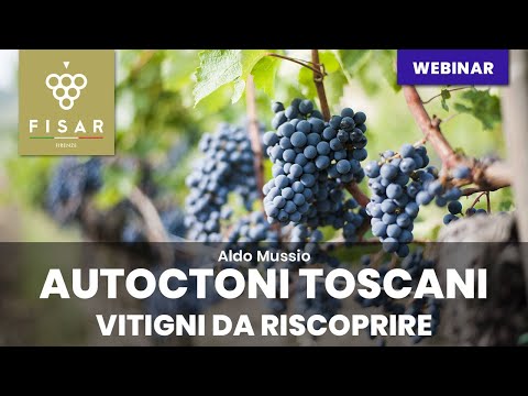 , title : 'I vitigni autoctoni toscani'