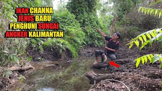 Download lagu PUT 16 FISHING RODS AND HUNTING IN THE FOREST THAT HAS DRIED UP😅 #bocahpecicilan mp3