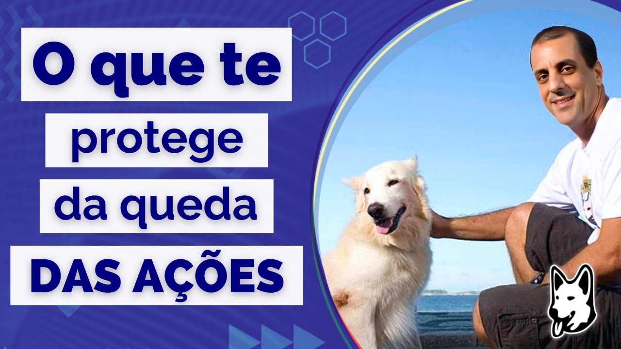 O que Realmente te Protege da Queda das Ações