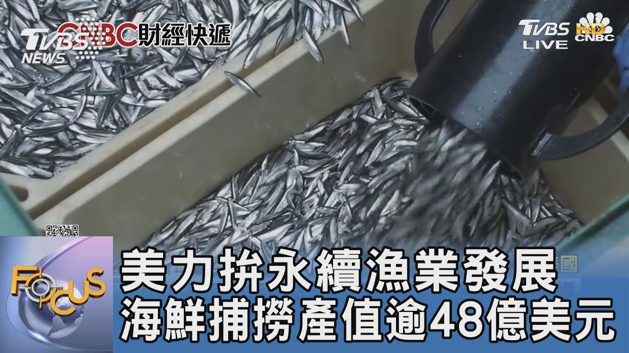 美力拚永續漁業發展 海鮮捕撈產值逾48億美元