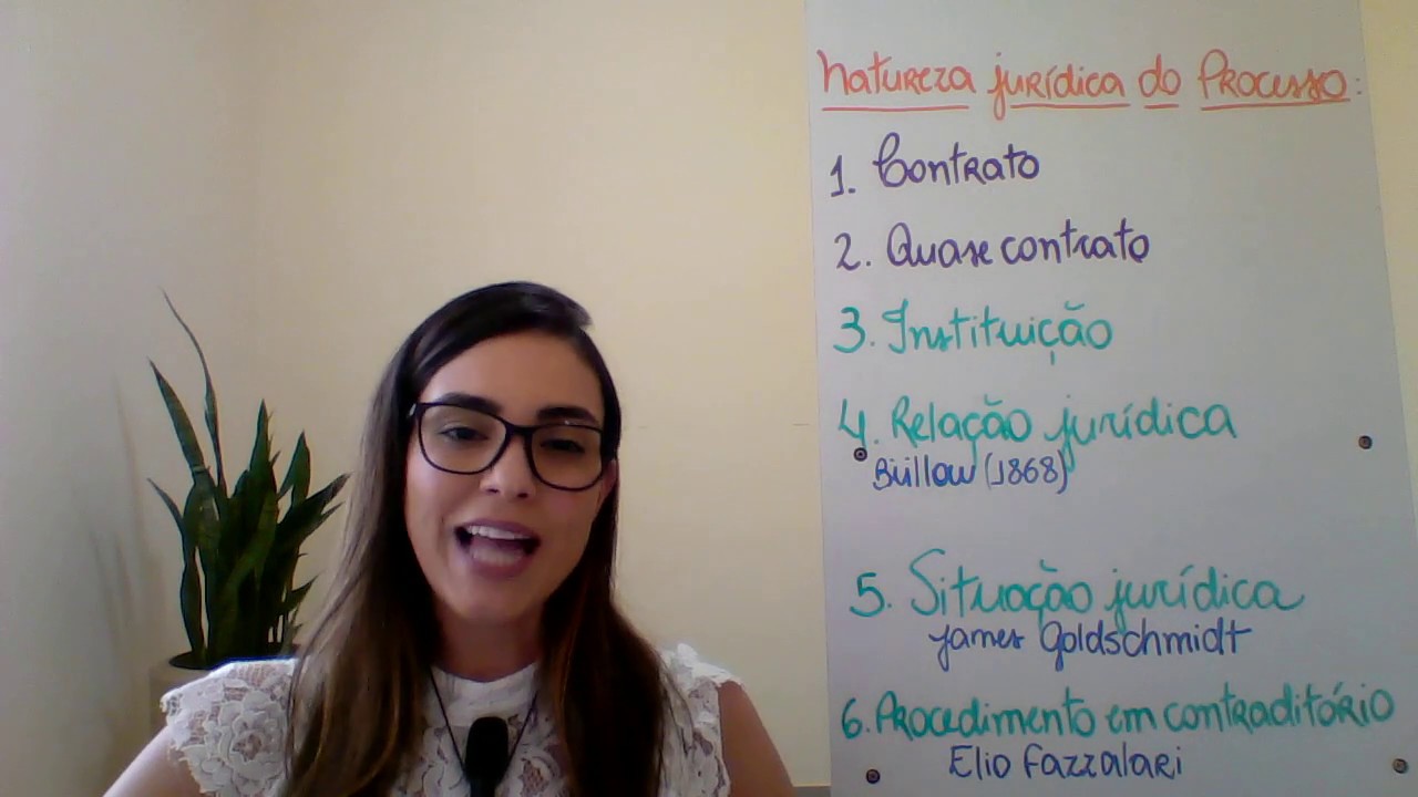 Teorias sobre a natureza jurídica do processo - PARTE 1