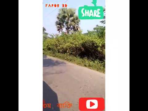 Third Parson @faporbd3533