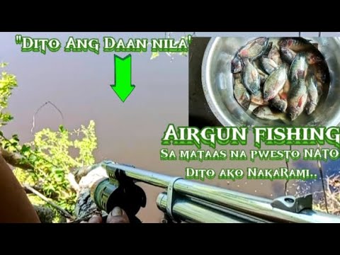 Mike tiksay fish Hunting 'Sa Mataas na Pwesto Nato Dito ako NakaRami'dito Ang Daan nila'..