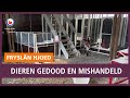 REPO: Dieren doodgeslagen en mishandeld bij inbraak in Nordwin College Buitenpost