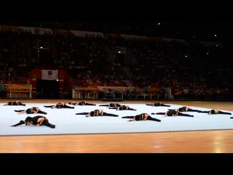 Kokushikan University, Japanese Evning, World Gymnaestrada 2015