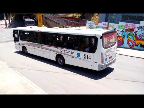 Apache VIP IV - Mercedes-Benz OF-1724 BlueTec5 - Moratense - Carro 814