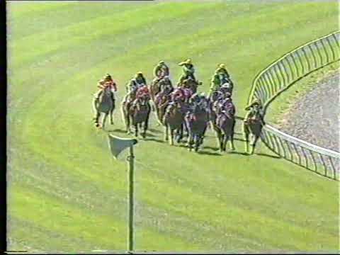 New Zealand Cup Week Gallops 1998
