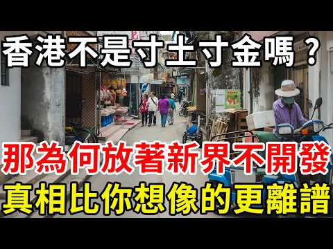 香港不是寸土寸金嗎？那為什麼放着新界不開發？真相比你想像的更離譜！#科普 #科普频道