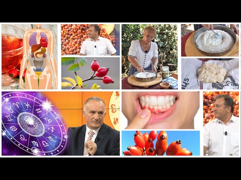 Rreze Dielli -Emisioni 16 Shtator 2024, Receta/ Horoskopi javor/Trëndafili i egër, përdorimi kurativ