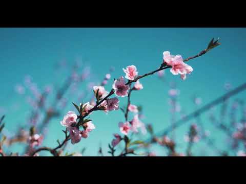 Ég és föld között