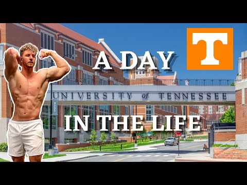 A Day In the Life of a Bodybuilder at UTK!
