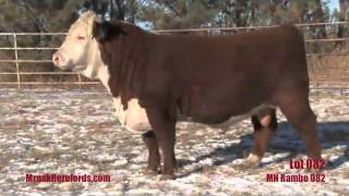 preview picture of video 'Mrnak Herefords 2012 Bull Sale Preview'