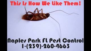 preview picture of video 'Naples Park FL Pest Control  |  1-(239)-260-4663'