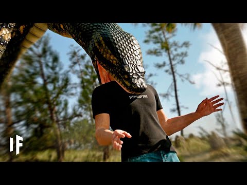 What would it be like to die in each extinction event of prehistoric eras?