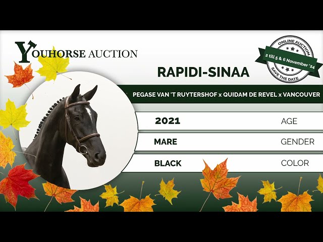 Rapidi-Sinaa