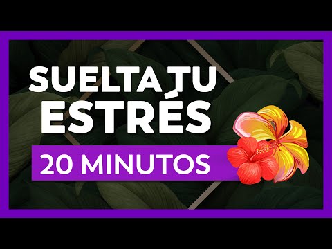 CALMA TU MENTE | Mindfulness Meditación Guiada (20 Minutos)