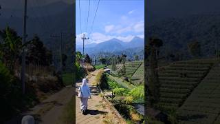 Download lagu Sebuah tempat Amazing di malang yang jarang ter expose mp3 Download lagu Sebuah tempat Amazing di malang yang jarang ter expose mp3