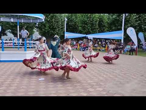 Sentir Gaucho-Grupo Infanto Juvenil (Navarro Baila) (Parte 3) (Multicam)