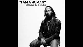 Ziggy Marley -- I am a Human