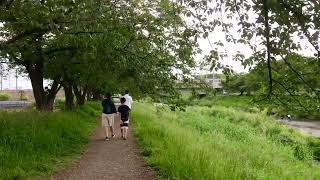 2020 05 05 埼玉県