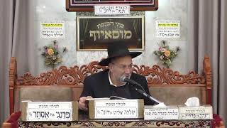 בית הכנסת מוסאיוף • יום ראשון יב' שבט תשפ'ו (בית הכנסת מוסאיוף) - התמונה מוצגת ישירות מתוך אתר האינטרנט יוטיוב. זכויות היוצרים בתמונה שייכות ליוצרה. קישור קרדיט למקור התוכן נמצא בתוך דף הסרטון