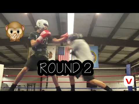 Fight Night, Round 1