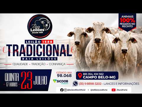 1.588° LEILÃO VIRTUAL DA BAIA LEILÕES, CAMPO BELO - MG, DIA 23/07/26