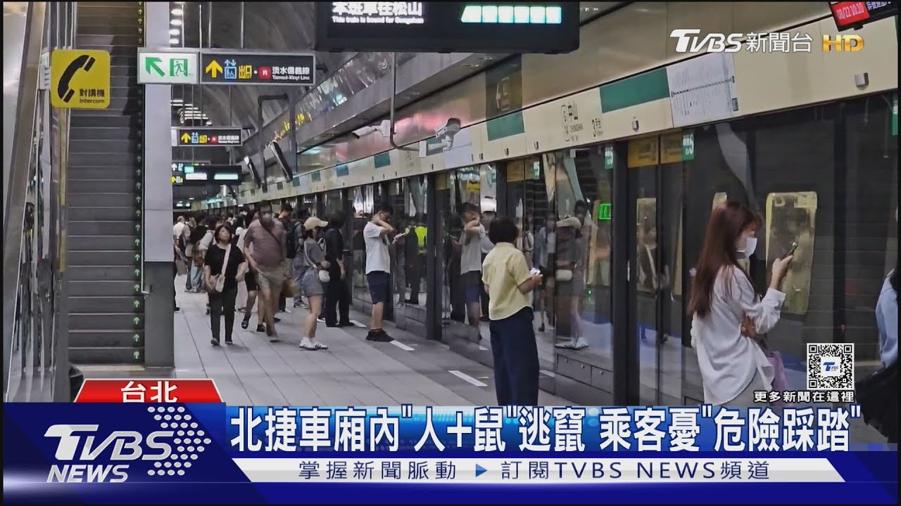 驚!北捷站員上車「持網捕鼠」 旅客尖叫喊:救我