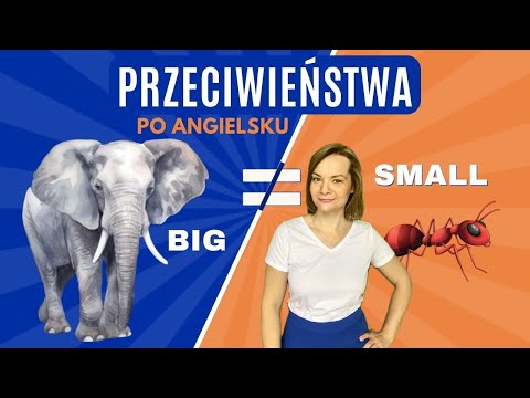 Przeciwieństwa po angielsku CZ. 1 | Opposite words | angielski dla dzieci