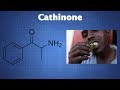 Cathinone: What You Need To Know