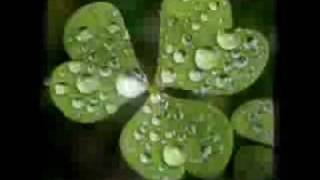 Native Deen - Rain Song.avi