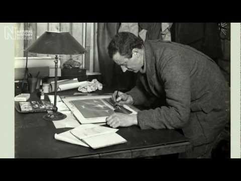 download lagu mp3 mp4 Wilson Antarctic Watercolours, download lagu Wilson Antarctic Watercolours gratis, unduh video klip Wilson Antarctic Watercolours