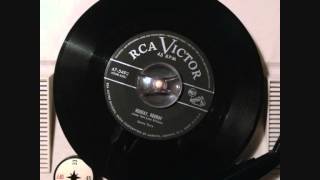 Sonny Terry - Hooray, hooray