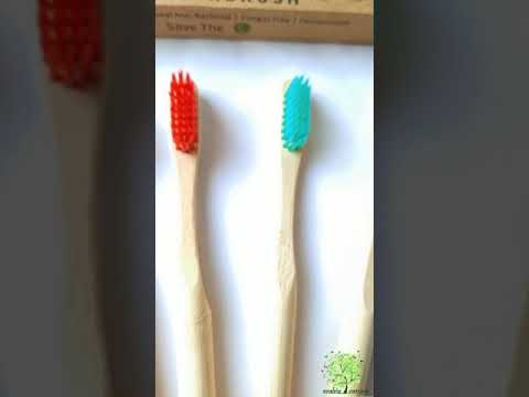 Bamboo Toothbrush