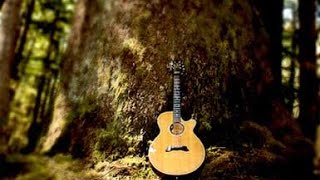 "Ave Maria"....solo acoustic guitar....